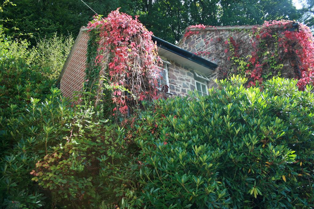 فندق تيفرتونفي  The Bark House المظهر الخارجي الصورة
