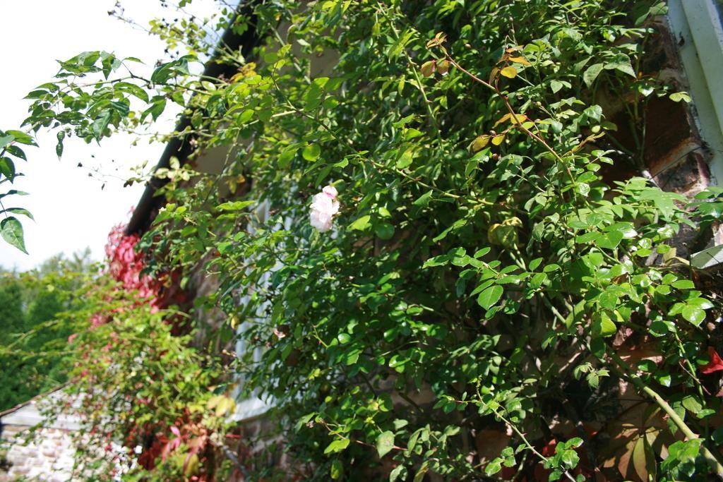 فندق تيفرتونفي  The Bark House المظهر الخارجي الصورة
